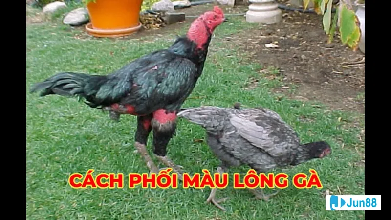 Ghế sofa hiện đại phòng khách Ghế sofa hiện đại phòng khách